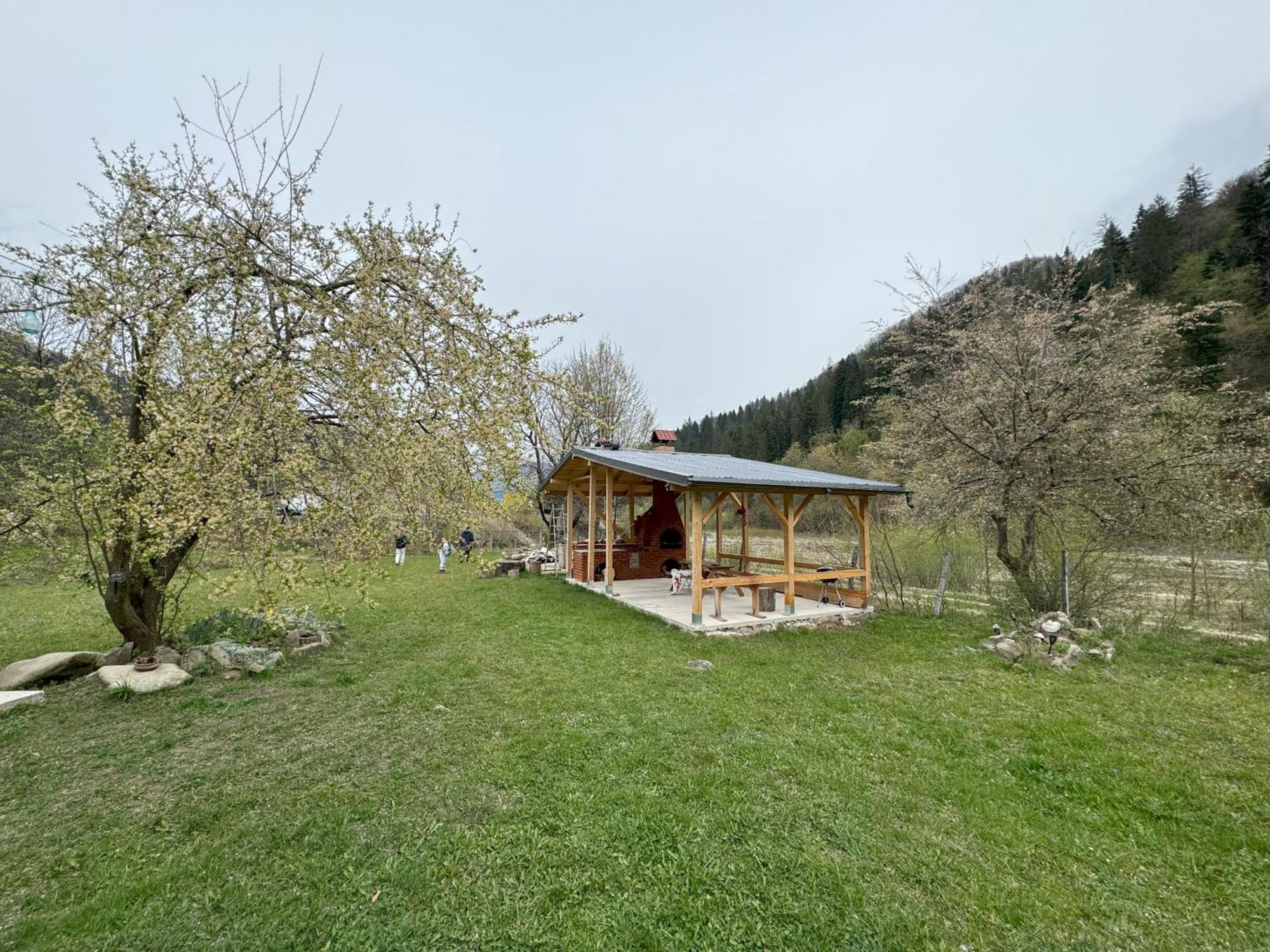 Tarcau Kub Villa Cazaci Exterior foto