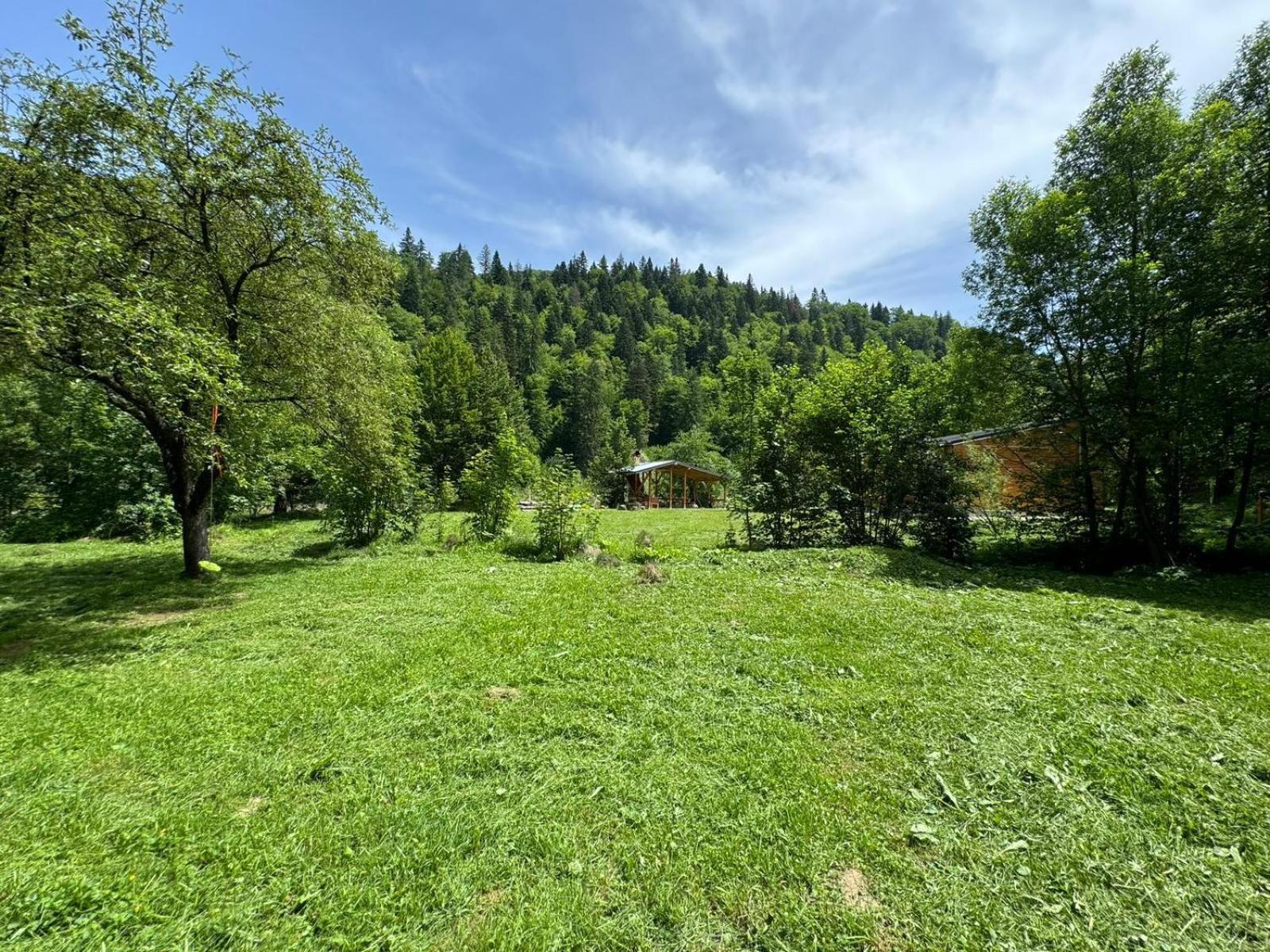 Tarcau Kub Villa Cazaci Exterior foto